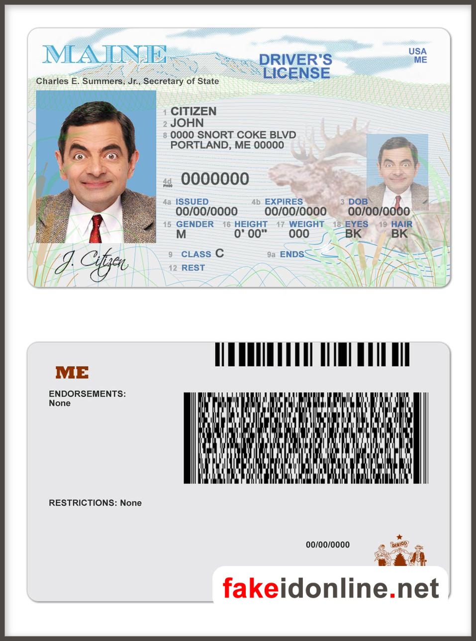 Maine Driver Licence Template